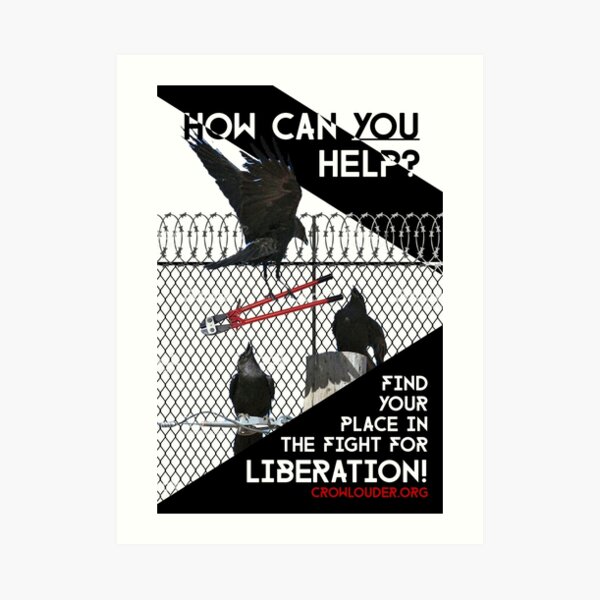 How Can YOU Help? Art Print