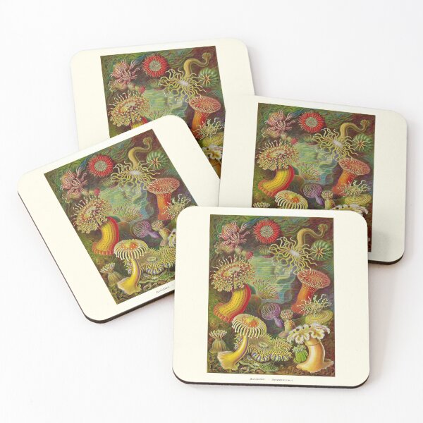 Item preview, Plate 49. Sea Anemones designed and sold by Squirrox.
