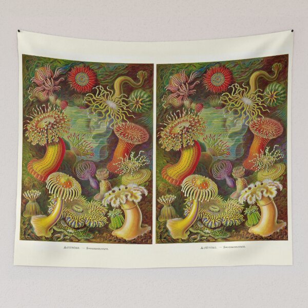 Item preview, Plate 49. Sea Anemones designed and sold by Squirrox.