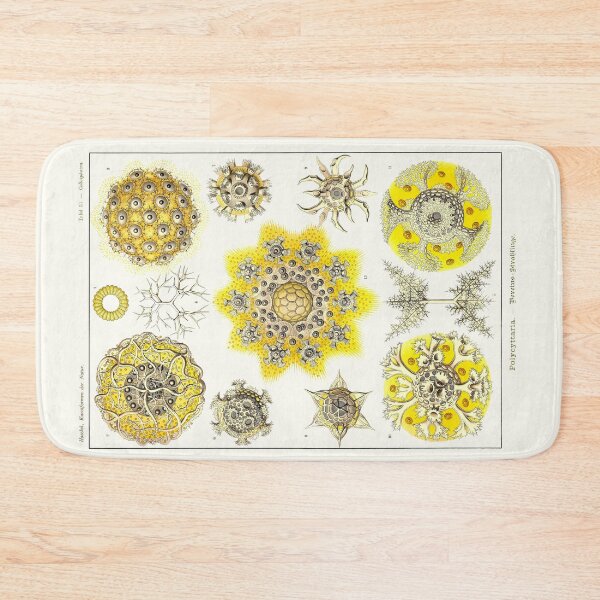Item preview, Plate 51. Polycyttaria, an older grouping of radiolarians – amoeboid protozoans. designed and sold by Squirrox.
