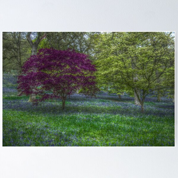 Item preview, Winkworth Bluelbells designed and sold by EventHorizon.