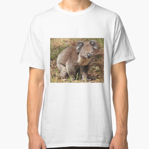 Koala on the ground Classic T-Shirt
