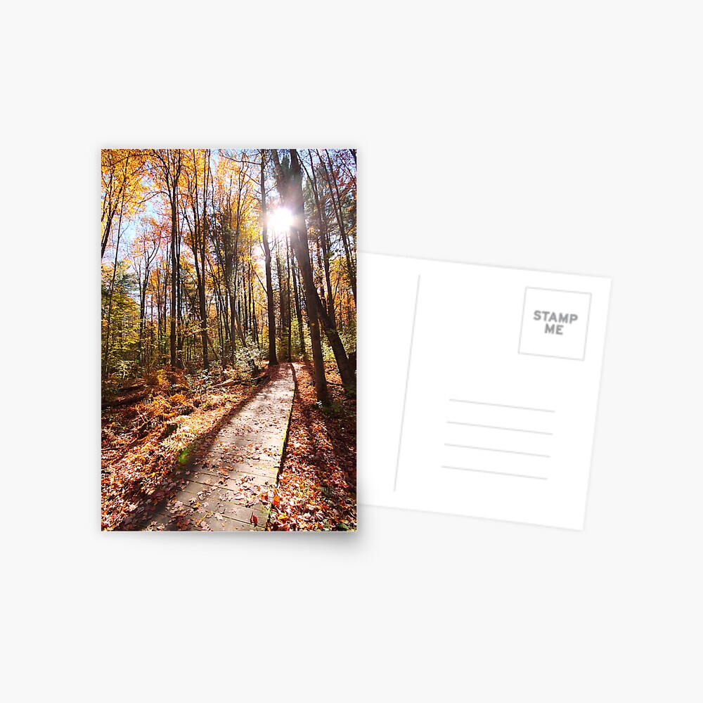 Item preview, Postcard designed and sold by spaterson.
