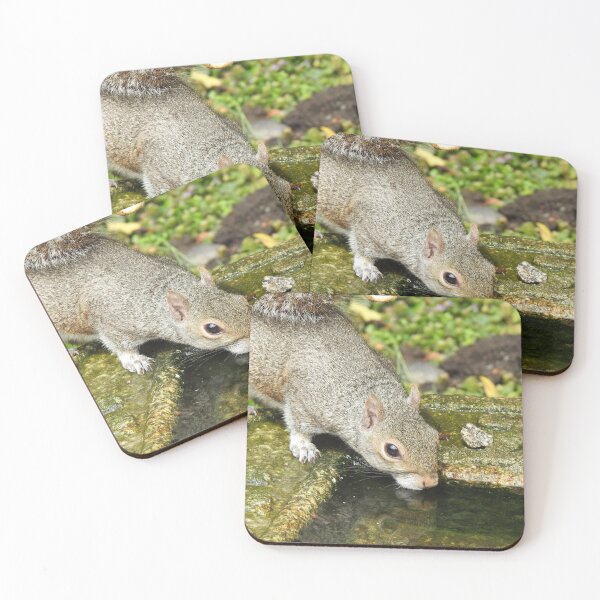Item preview, Thirsty Squirrel designed and sold by CreativeEm.