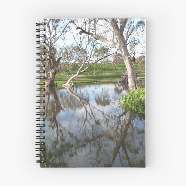 Item preview, Pretty Reflections in Tatiara Creek. Rural Bordertown, Sth. Australia. designed and sold by RitaBlom.