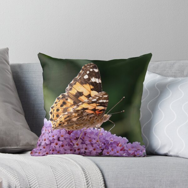 Item preview, Painted Lady Butterfly (Vanessa cardui) designed and sold by DonMc.