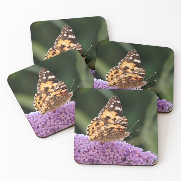 Item preview, Painted Lady Butterfly (Vanessa cardui) designed and sold by DonMc.