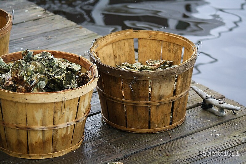 "Bushel Baskets of Oysters" by Paulette1021 Redbubble