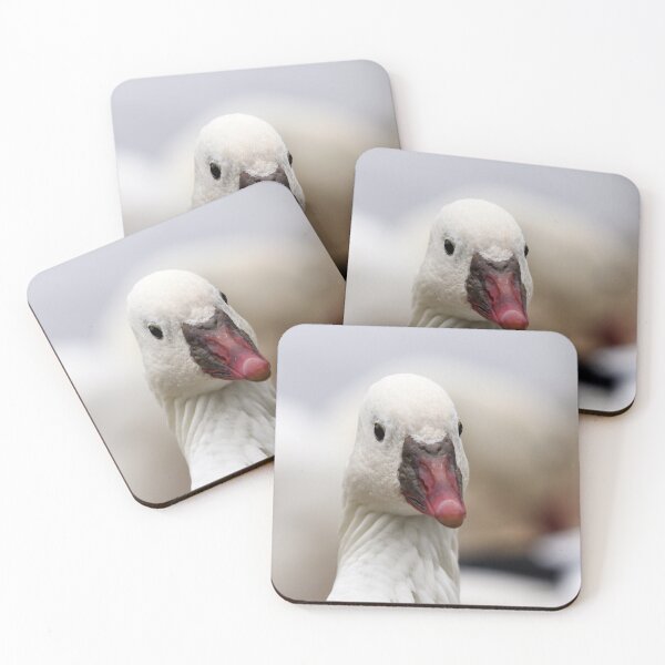 Item preview, Ross's goose designed and sold by GreyFeatherPhot.