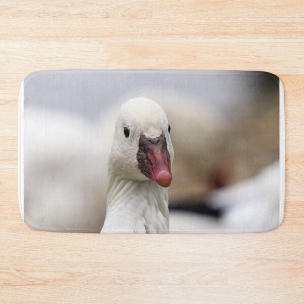 Item preview, Ross's goose designed and sold by GreyFeatherPhot.