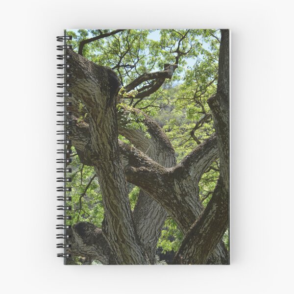 Item preview, Australian Tree Art designed and sold by Sharon Schwalbe.