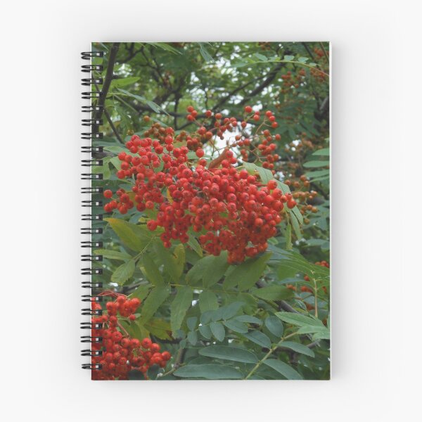 Item preview, Early Rowan Berries designed and sold by MidnightMelody.
