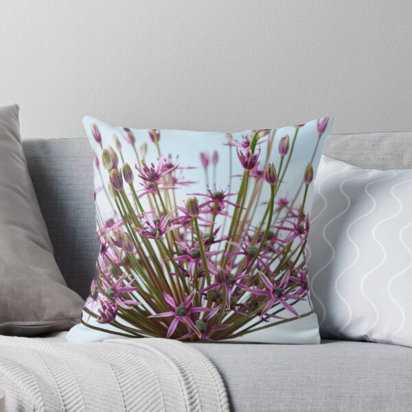 Item preview, Allium  'Spider'  Ornamental onion  designed and sold by Chris Burrows.