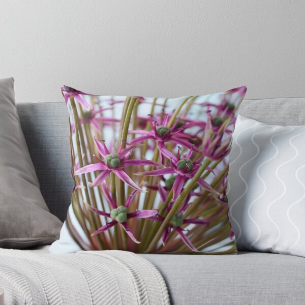 Item preview, Allium  'Spider'  Ornamental onion  designed and sold by Chris Burrows.