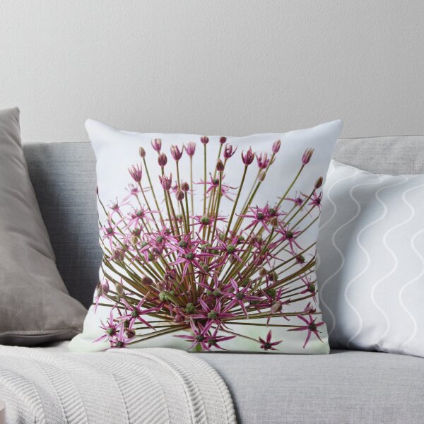Item preview, Allium  'Spider'  Ornamental onion  designed and sold by Chris Burrows.