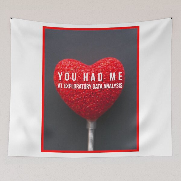 Item preview, You had me at exploratory data analysis designed and sold by jonfun1.