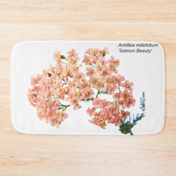 Item preview, Achillea millefolium 'Salmon Beauty'   designed and sold by Chris Burrows.