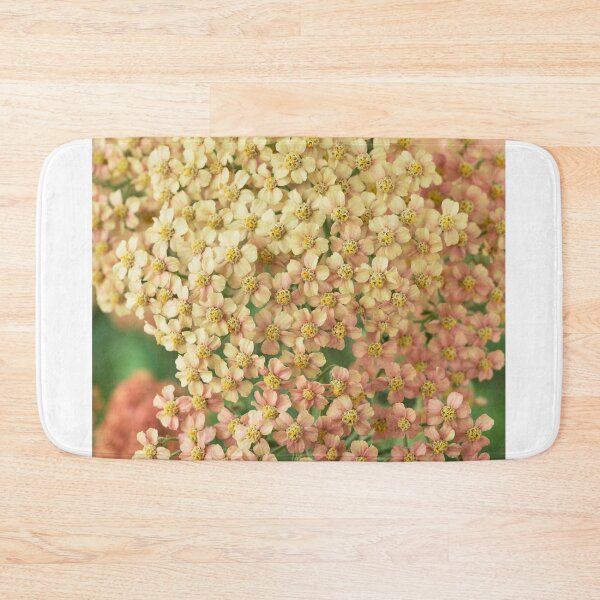 Item preview, Achillea millefolium 'Salmon Beauty'   designed and sold by Chris Burrows.
