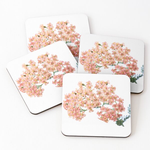 Item preview,  Achillea millefolium 'Salmon Beauty' designed and sold by Chris Burrows.