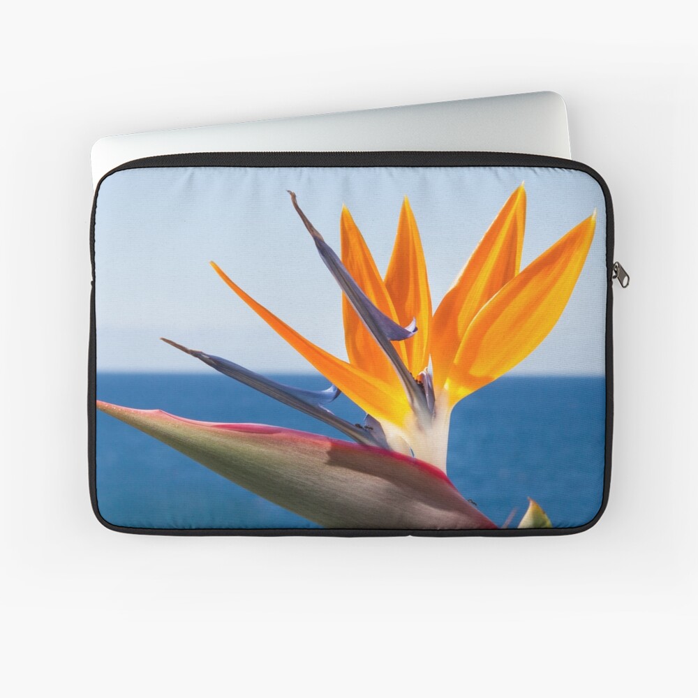 Artikel-Vorschau von Laptoptasche, designt und verkauft von Igelchen.