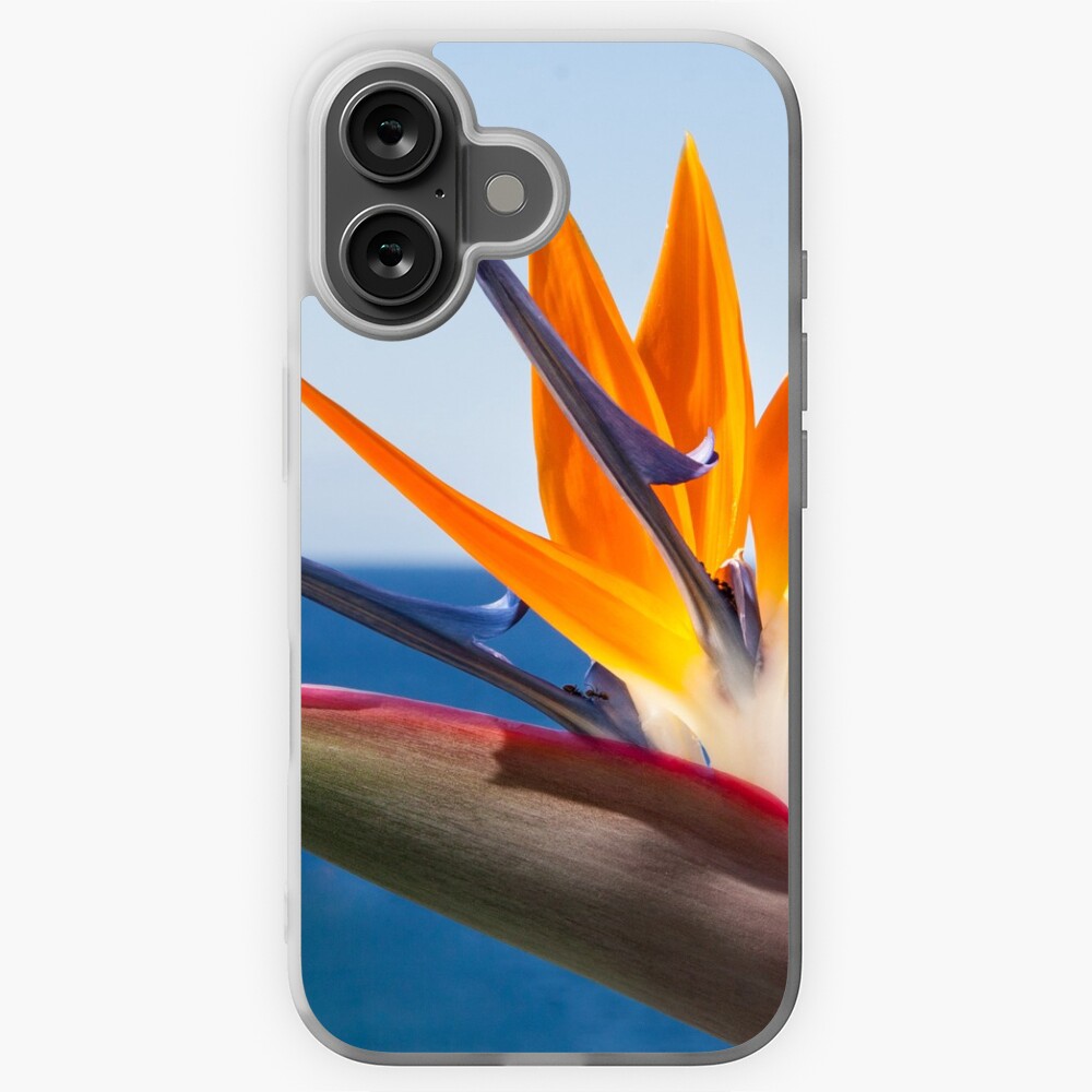 Artikel-Vorschau von iPhone Flexible Hülle, designt und verkauft von Igelchen.