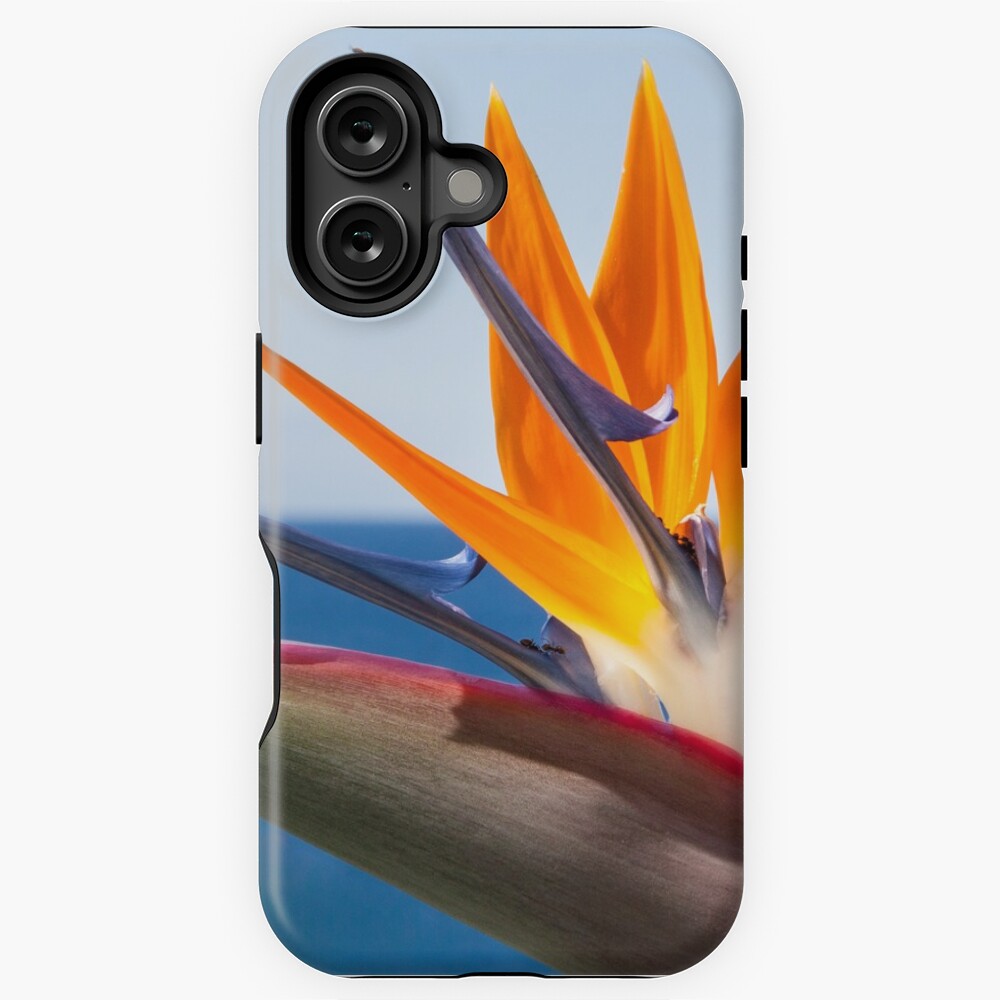 Artikel-Vorschau von iPhone Robuste Hülle, designt und verkauft von Igelchen.