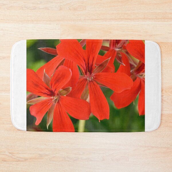 Item preview,  Ivy-leaved Pelargonium  designed and sold by Chris Burrows.