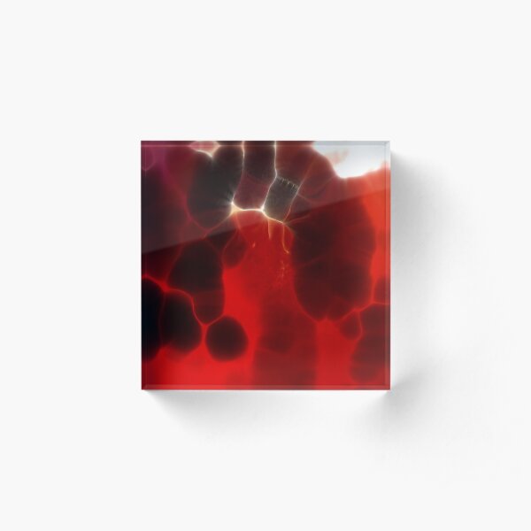 An abstract impression of cellular activity. Cells making cells making cells. Acrylic Block