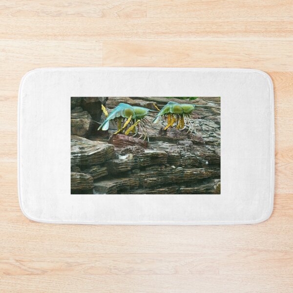 Item preview, Aquarium Sculpture. Vladivostok, Russia designed and sold by Igor Pozdnyakov.
