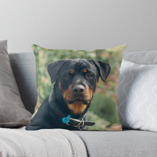 Item preview, Sampson designed and sold by Helen  Page.