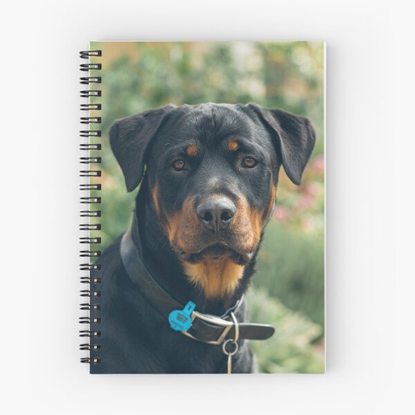 Item preview, Sampson designed and sold by Helen  Page.