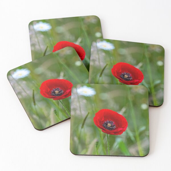 Aperçu de l'œuvre Coquelicot rouge créée et vendue par iCimages.net.