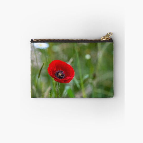 Aperçu de l'œuvre Coquelicot rouge créée et vendue par iCimages.net.