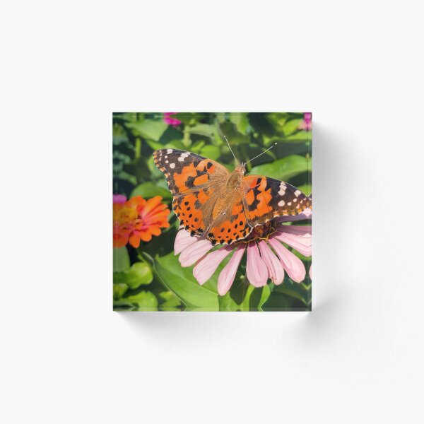 New Beginnings Acrylic Block