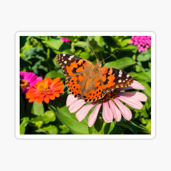 New Beginnings Sticker