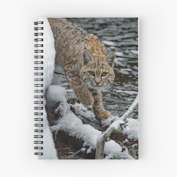 Item preview, Bobcat in the Snow designed and sold by Strawflower Oasis.