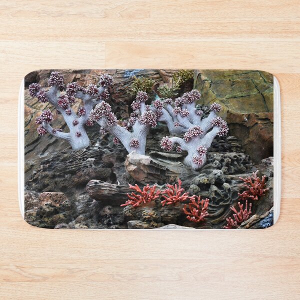 Item preview, Coral Sculpture. Vladivostok Oceanarium designed and sold by Igor Pozdnyakov.