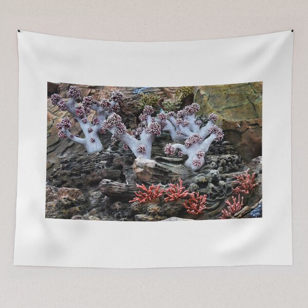 Item preview, Coral Sculpture. Vladivostok Oceanarium designed and sold by Igor Pozdnyakov.