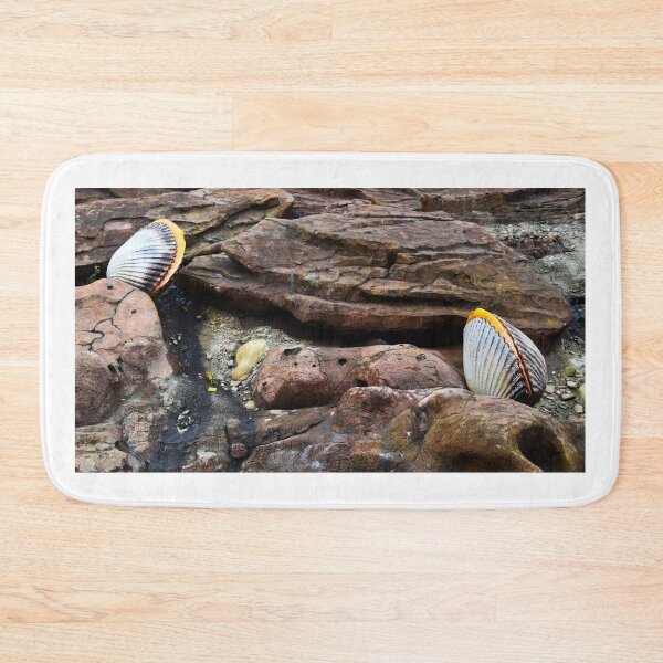 Item preview, Shells Sculpture. Vladivostok Oceanarium designed and sold by Igor Pozdnyakov.