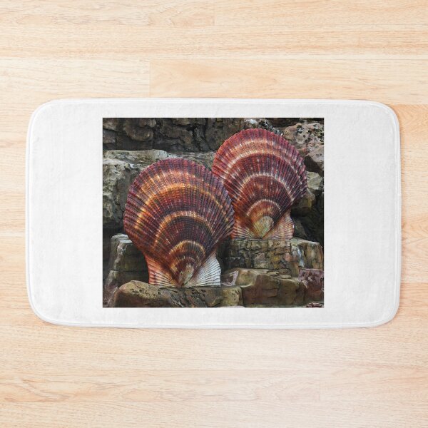Item preview, Shells Sculpture. Vladivostok Oceanarium designed and sold by Igor Pozdnyakov.