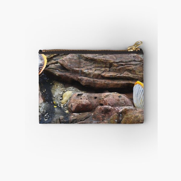 Item preview, Shells Sculpture. Vladivostok Oceanarium designed and sold by Igor Pozdnyakov.