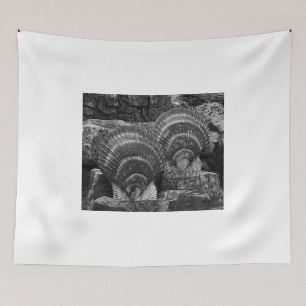 Item preview, Shells Sculpture. Vladivostok Oceanarium designed and sold by Igor Pozdnyakov.