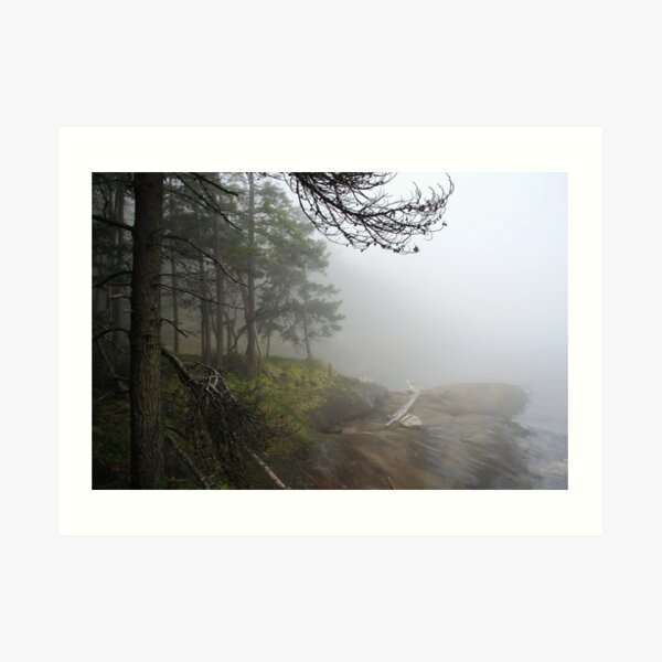 Fogged In Art Print