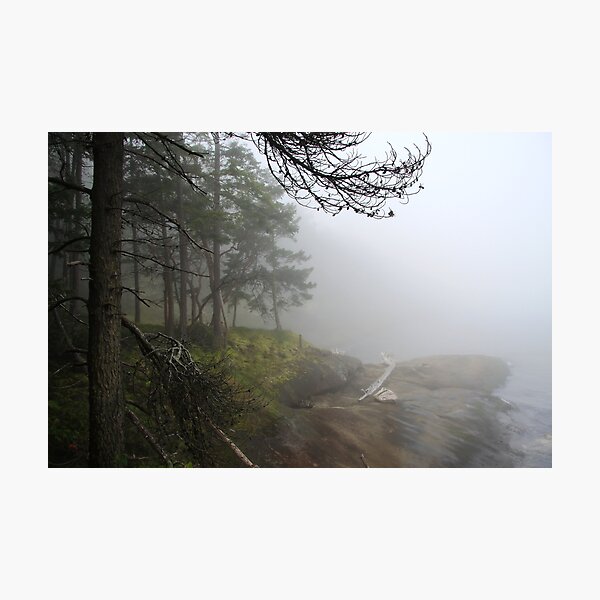 Fogged In Photographic Print