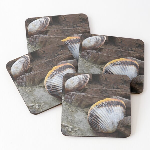 Item preview, Shells Sculpture. Vladivostok Oceanarium designed and sold by Igor Pozdnyakov.
