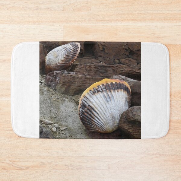 Item preview, Shells Sculpture. Vladivostok Oceanarium designed and sold by Igor Pozdnyakov.