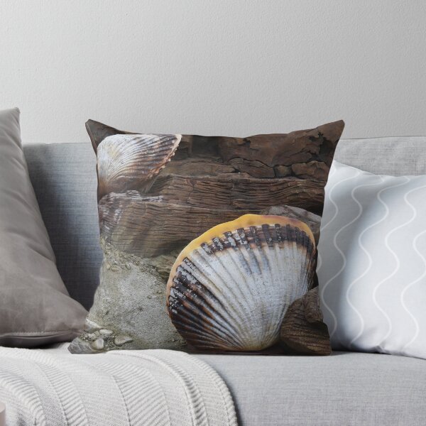 Item preview, Shells Sculpture. Vladivostok Oceanarium designed and sold by Igor Pozdnyakov.