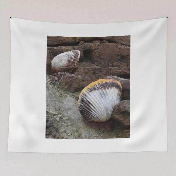Item preview, Shells Sculpture. Vladivostok Oceanarium designed and sold by Igor Pozdnyakov.
