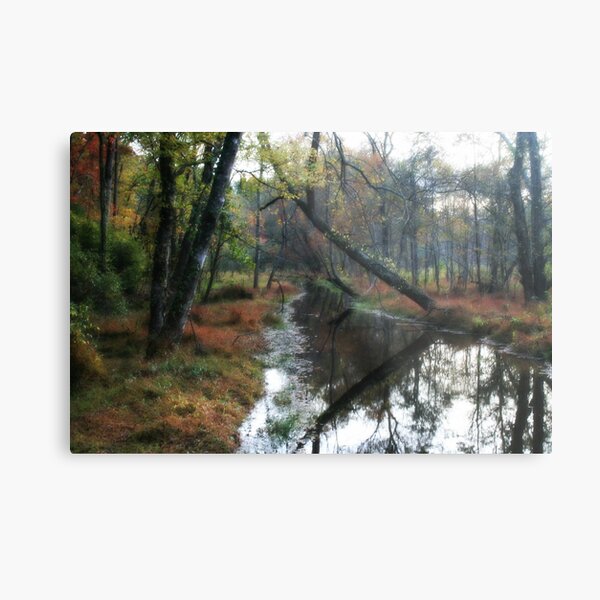 Bow to the Left Metal Print