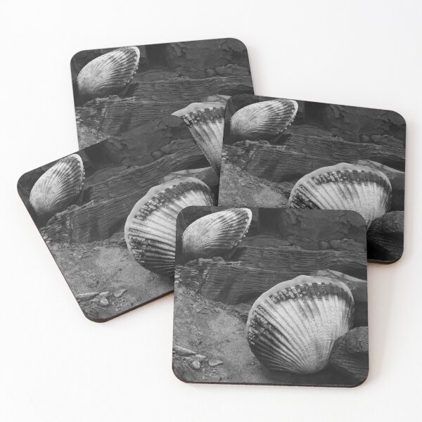 Item preview, Shells Sculpture. Vladivostok Oceanarium designed and sold by Igor Pozdnyakov.